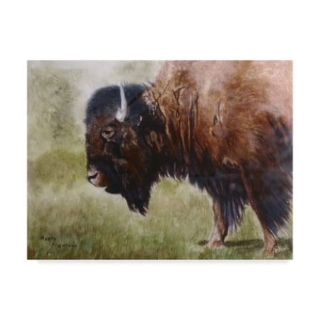 Rusty Frentner 'Buffalo' Canvas Art,18x24
